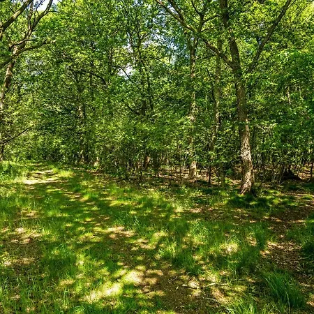 1 Bedroom Lovely In * Hampen